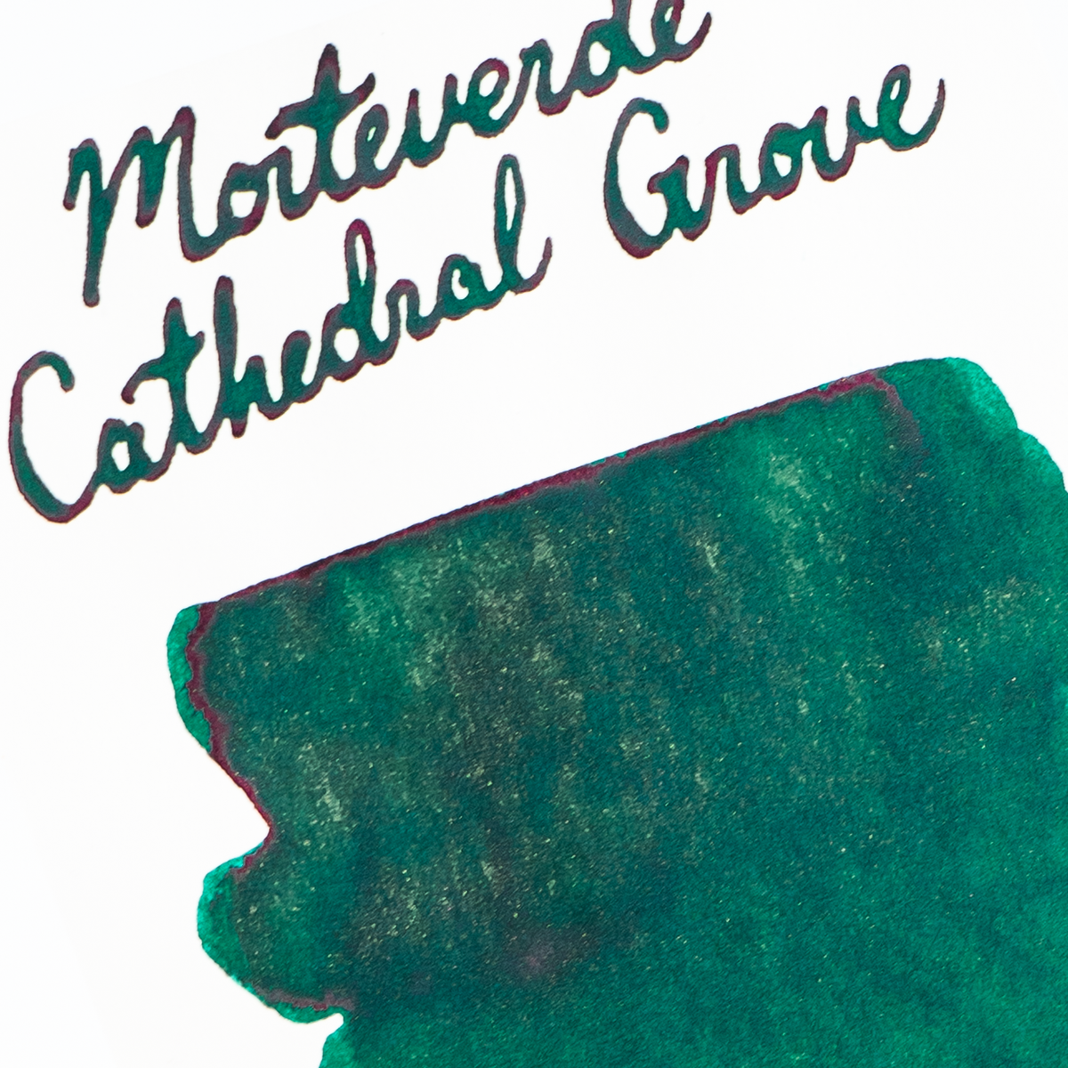 Monteverde 3-Piece Bottled Ink & Fountain Pen Flush Set (30ml) - Trailhead Coffee & Cathedral Grove (Dromgoole's Exclusive)