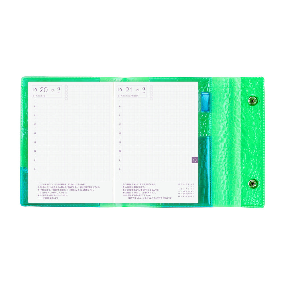 Hobonichi A6 Techo Cover Only - beautiful people: Nothing to Hide (Green)