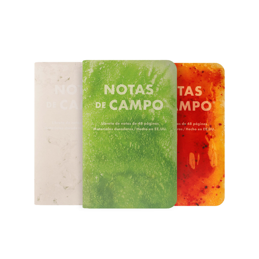 Field Notes Quarterly Edition Memo Notebook - Paletas Series C: Limón, Coco, Mango con Chamoy (3-Pack)