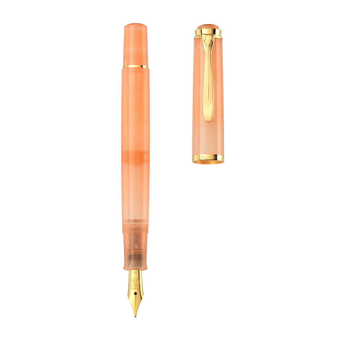 Pelikan Classic M200 Series Fountain Pen and Gift Set - Ink of the Year - Apricot Achat (Special Edition)