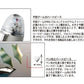 Platinum #3776 Shape of Heart Ivoire Fountain Pen (Limited Edition)