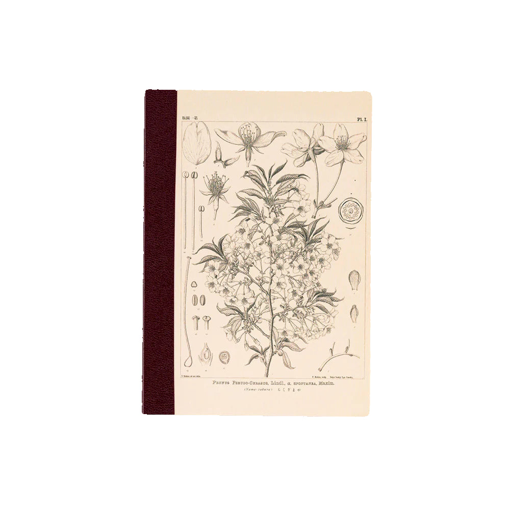 Hobonichi A6 Graph Notebook - Tomitaro Makino: Yamazakura