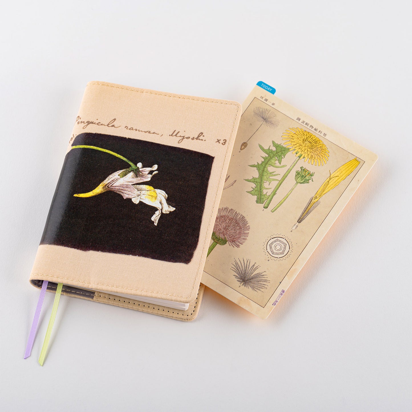 Hobonichi A6 Techo Pencil Board - Tomitaro Makino (Tomitaro Makino)