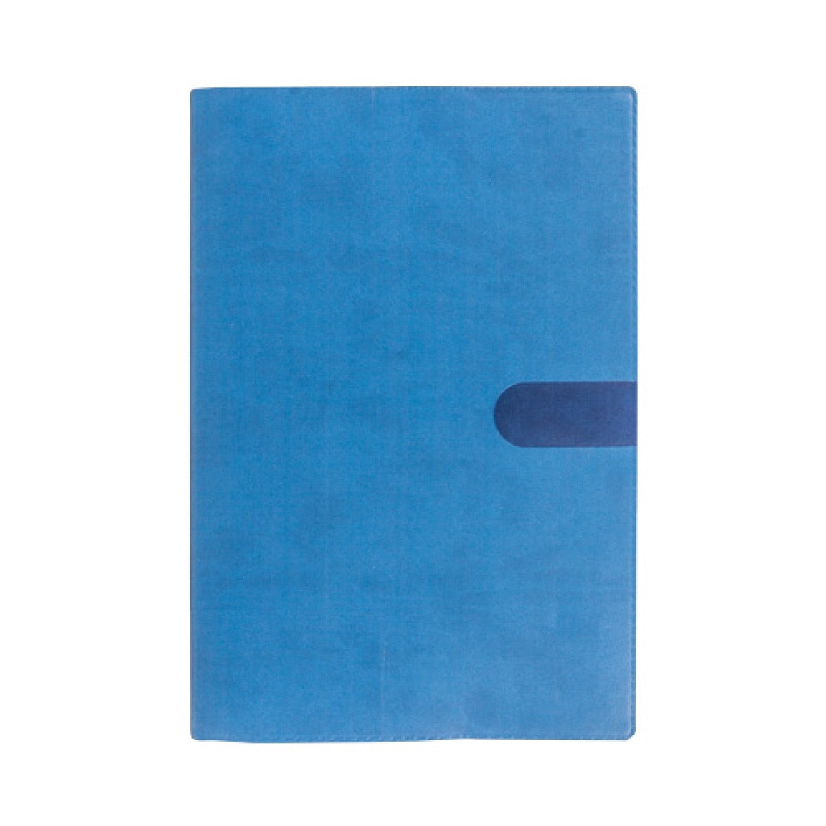 Quo Vadis 2026 President 13 Months Weekly Planner - Texas Blue