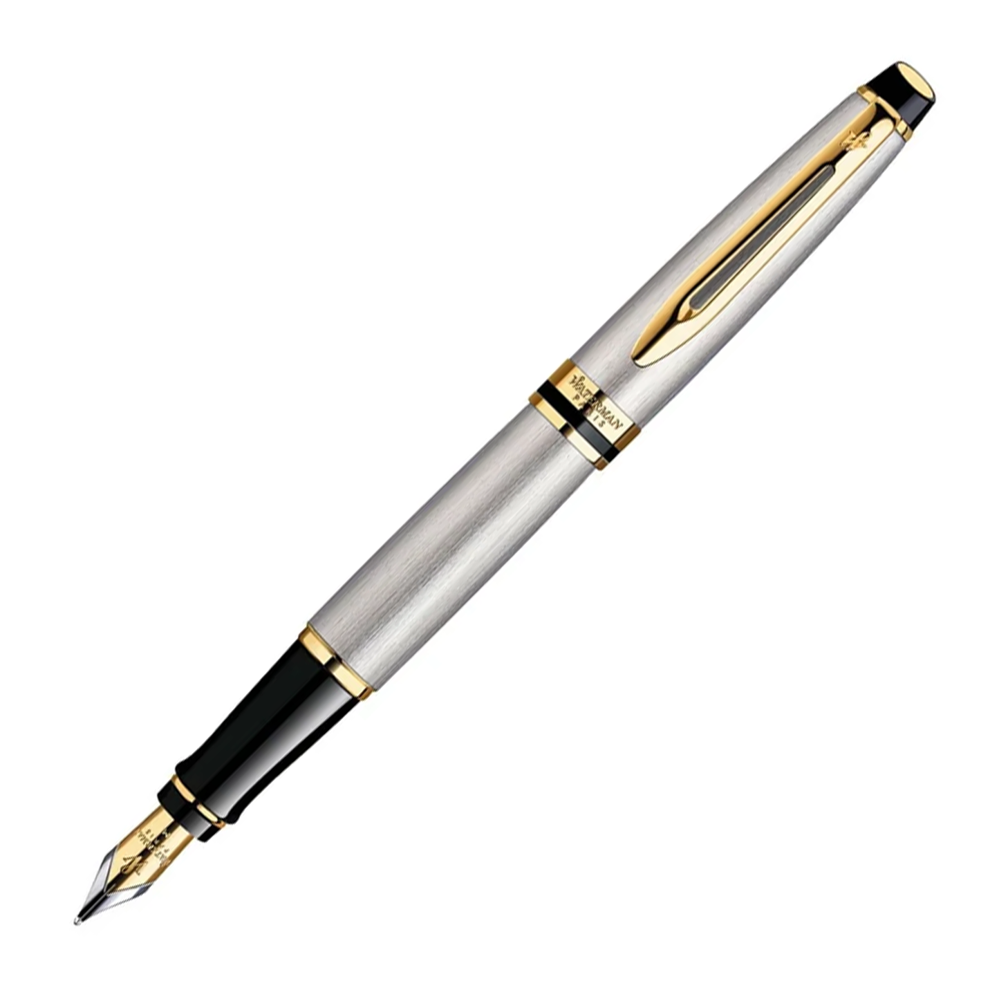 Waterman Expert Fountain Pen - Stainless Steel with Gold Trim