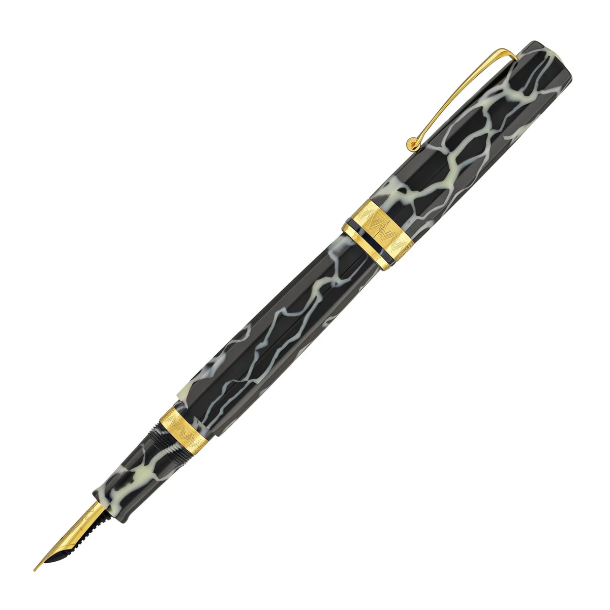 Omas Paragon 14K Fountain Pen - Wild with Gold Trim