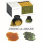 Colorverse  String & Brane Glistening (65ml + 15ml) Bottled Ink Set