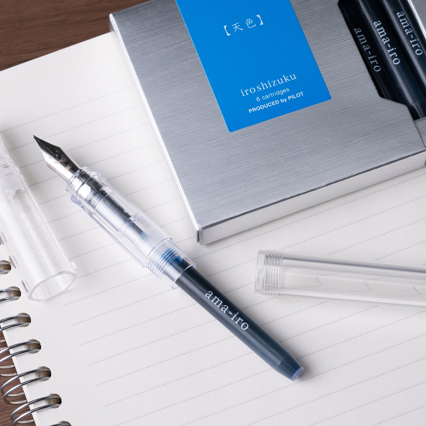 Pilot Iroshizuku Ink Cartridges (Set of 6) - Ama-Iro