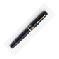 Leonardo Momento Magico Fountain Pen - Pietra Salata with Gold Trim