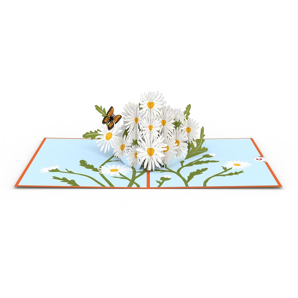 Lovepop Pop-Up Card - Daisies with Monarch Butterfly – Dromgoole's Fine ...
