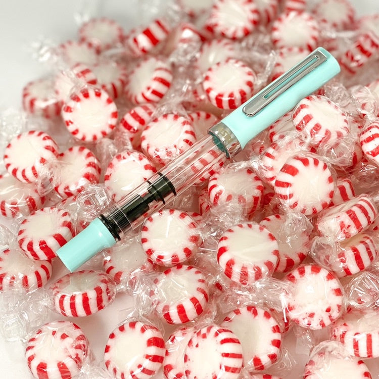 TWSBI ECO-T Fountain Pen - Mint