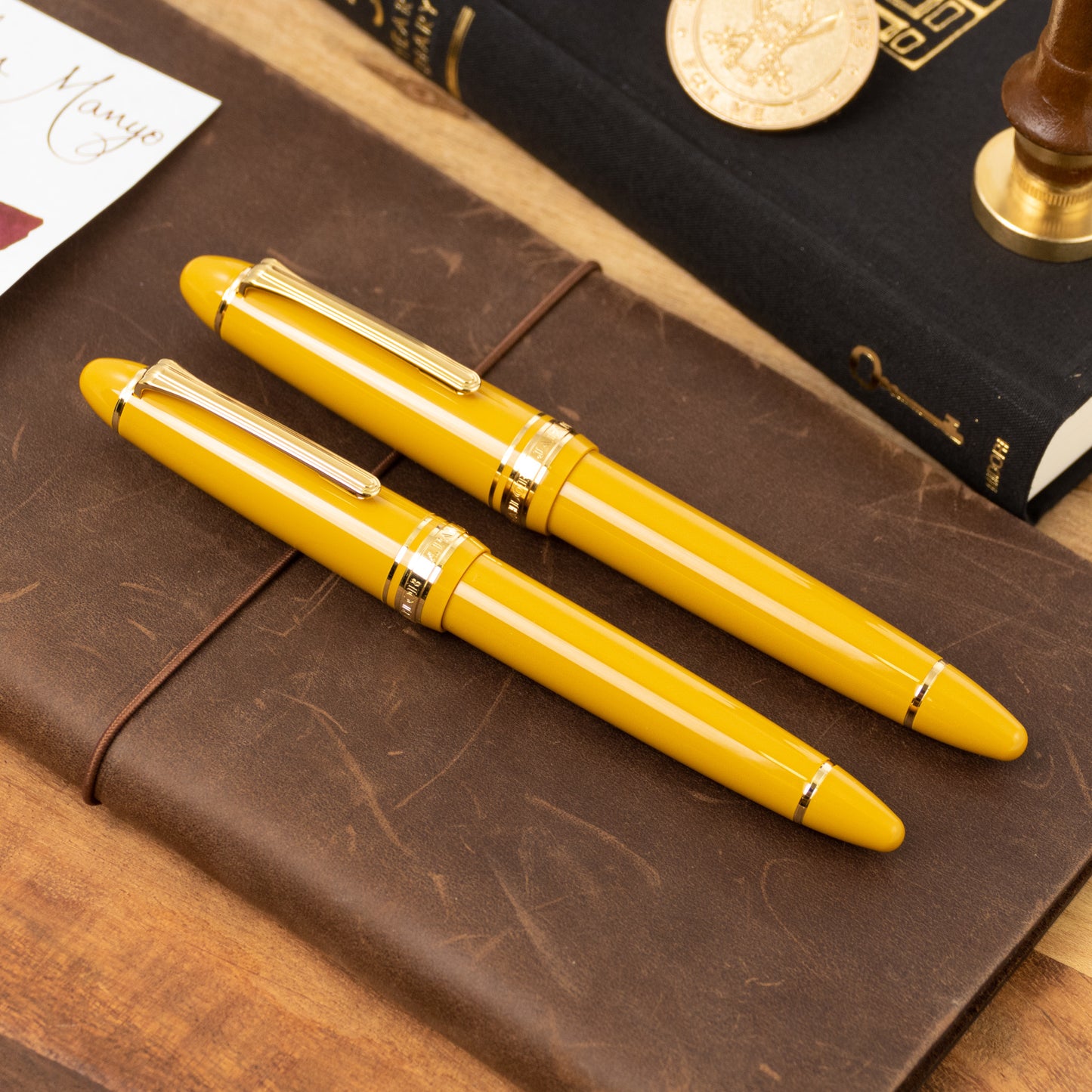 Sailor 1911L Fountain Pen - Pirate's Life