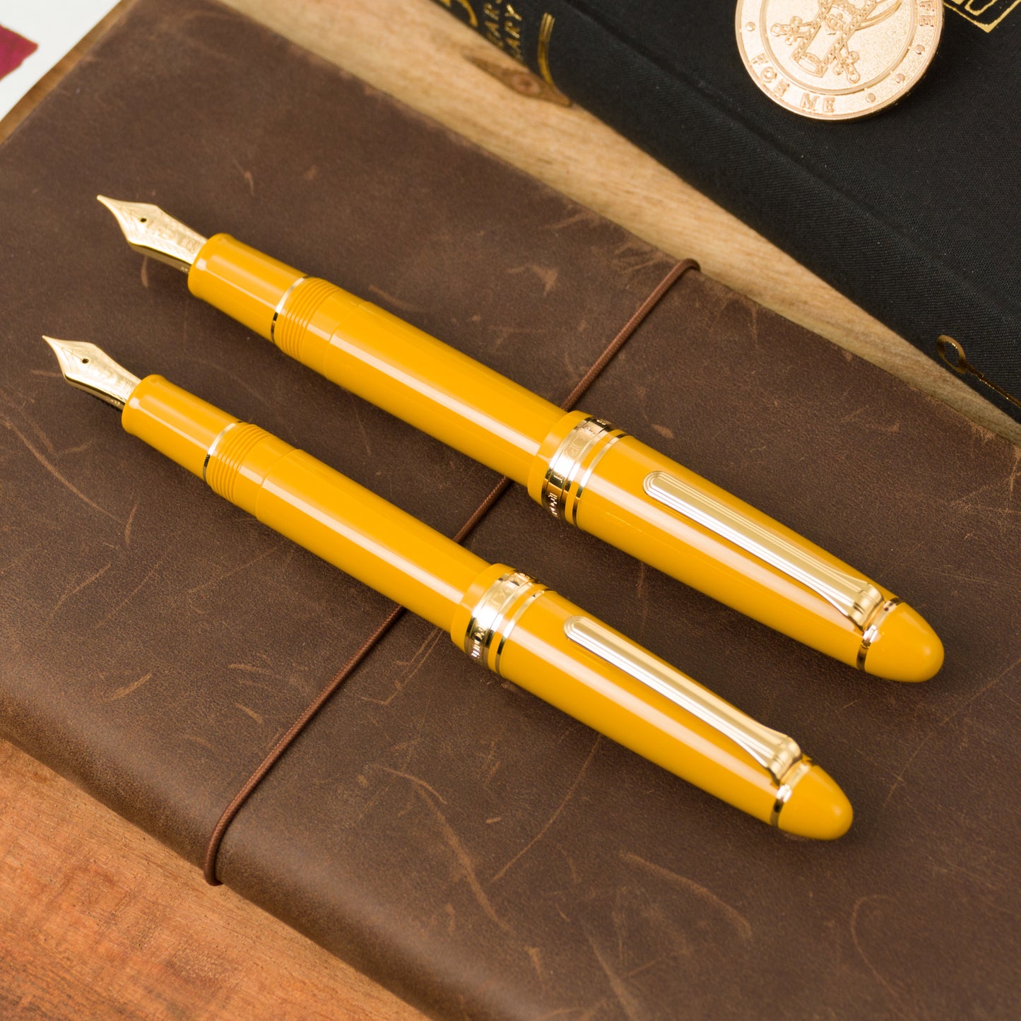 Sailor 1911L Fountain Pen - Pirate's Life