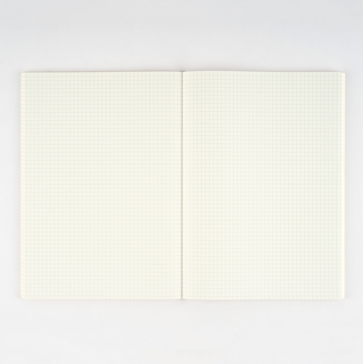 Notebook Ruling Types Plain Hobonichi Plain A5 Cousin Notebook - Graph Ruling – Dromgoole's Fine ...
