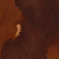 Wearingeul Cowardly Lion (30ml) Bottled Ink (The Wonderful Wizard of Oz)